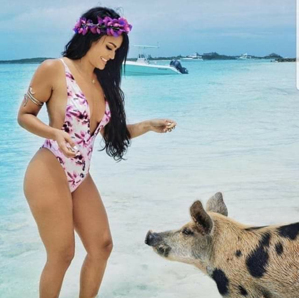 Floral One Piece Swimwear